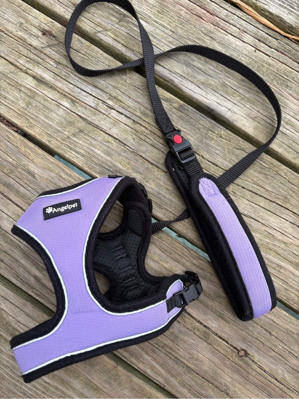 Angel Lavender Padded Harness and Leash Set for Small Pets
